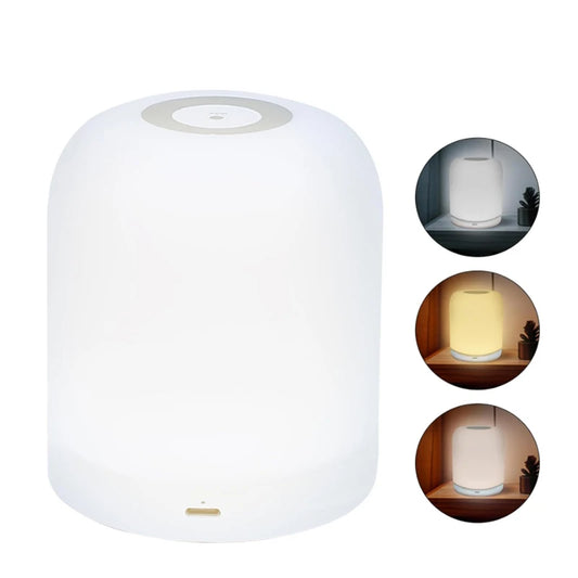 LED Night Light Dimmable Rechargeable/Plug-in Desktop Bedroom Bedside Lighting Decorative Touchscreen Reading RGB Desk Lamp